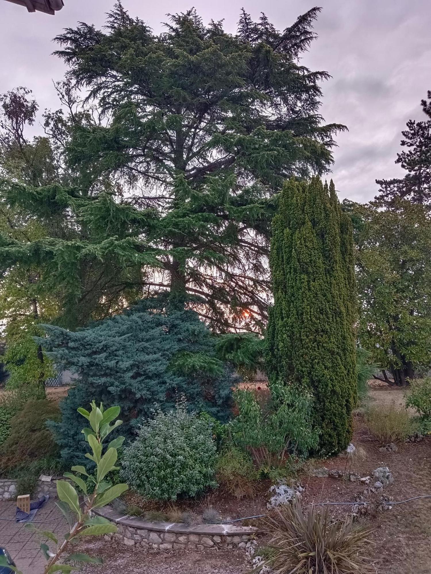 La Maison Basque Sainte-Livrade-sur-Lot Extérieur photo